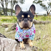 Blueberry Pop Monsta - Dog Skivvy