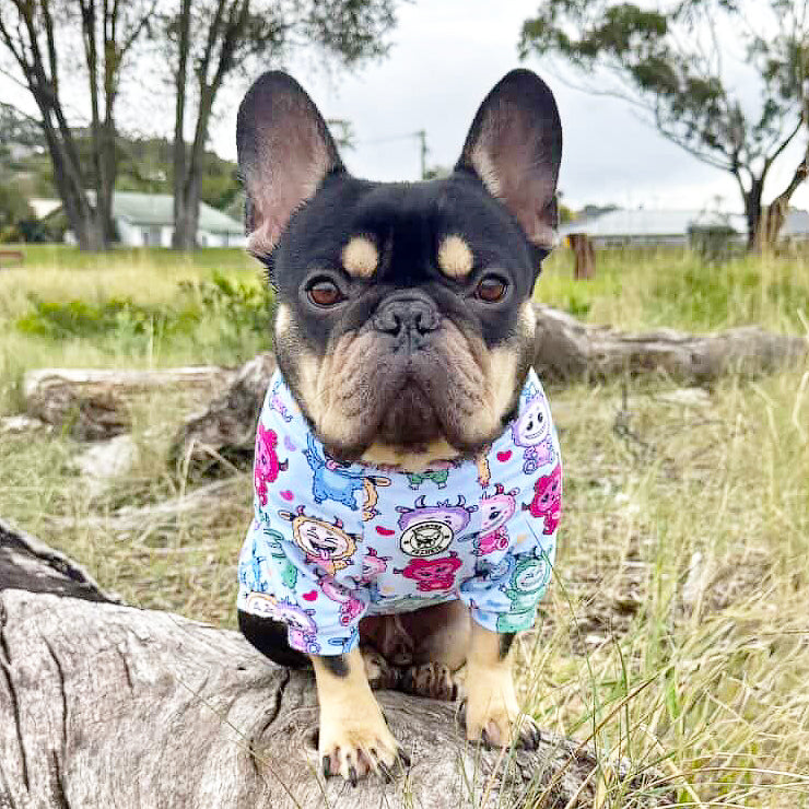 Blueberry Pop Monsta - Dog Skivvy