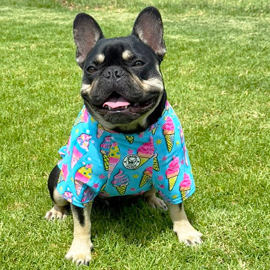 I scream for Ice Cream - Sun & Sand Rashie UV 50+ -  END OF LINE