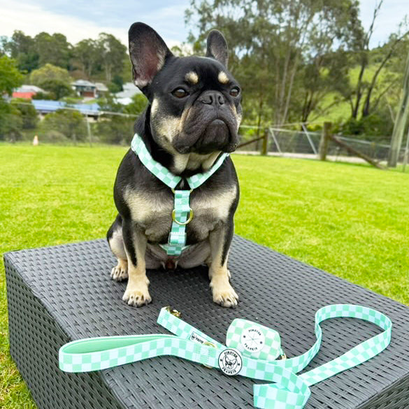 Green Check - Luxe Strap Harness