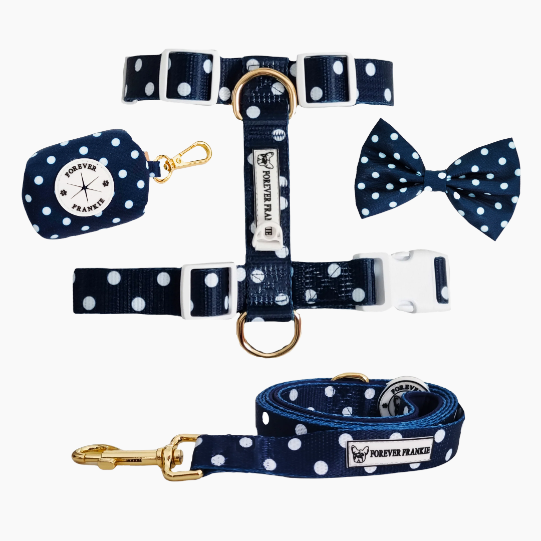 Navy Polka Dot Walk Bundle