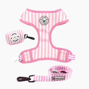 Pink Candy Stripe Walk Bundle