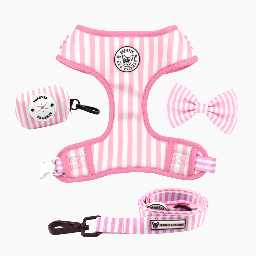 Pink Candy Stripe Walk Bundle
