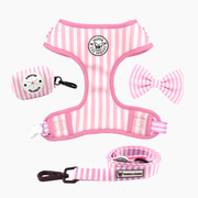 Pink Candy Stripe Walk Bundle