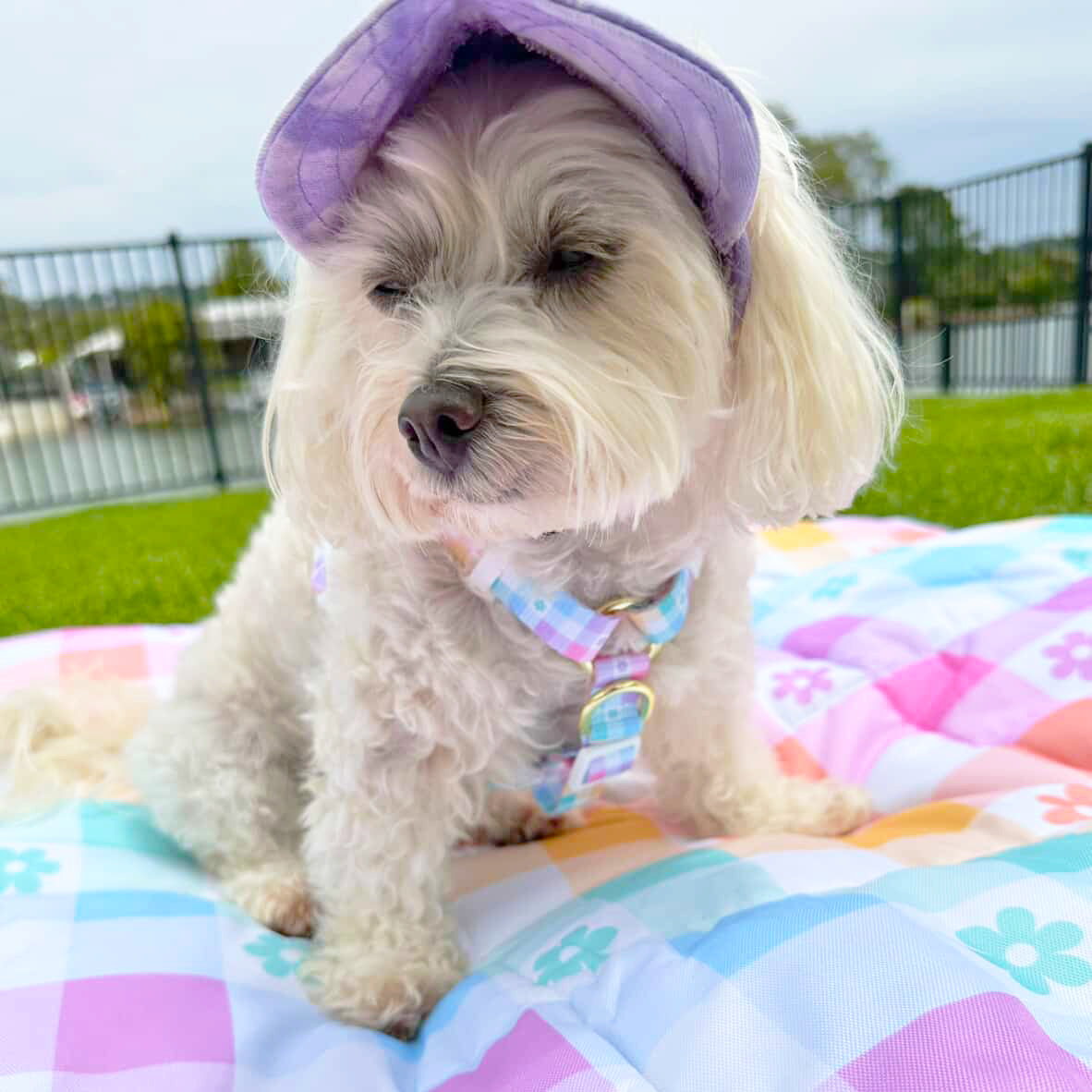 Gingham Wonderland - Luxe Strap Harness