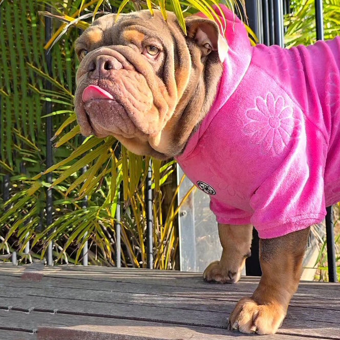 Pink Hibiscus After Bath/Beach - Terry Towelling Dog Hoodie