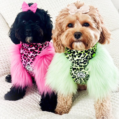 LUXE - Raspberry Leopard Dog Skivvie