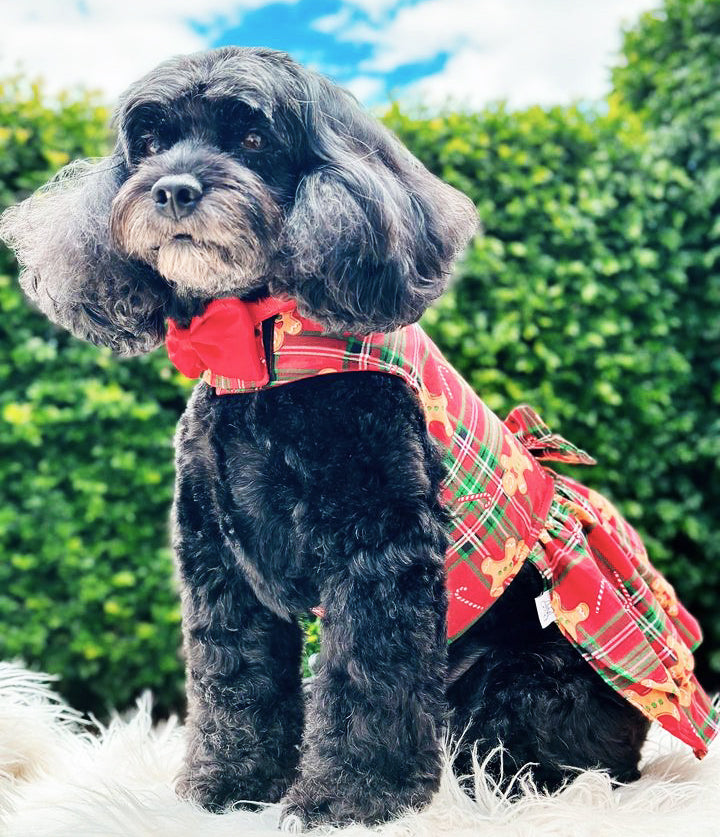 Gingerbread Dog Dress  (Limited Edition)
