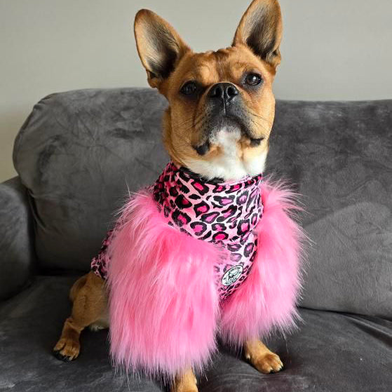 LUXE - Raspberry Leopard Dog Skivvie