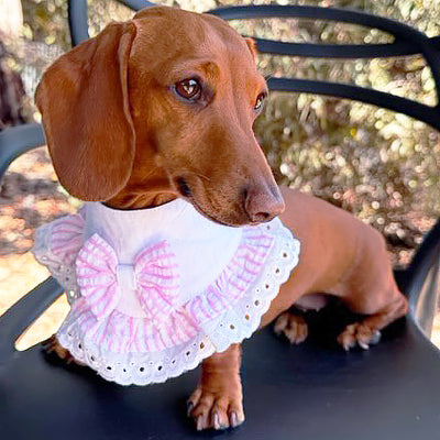 Cotton Candy Charm - Bandana