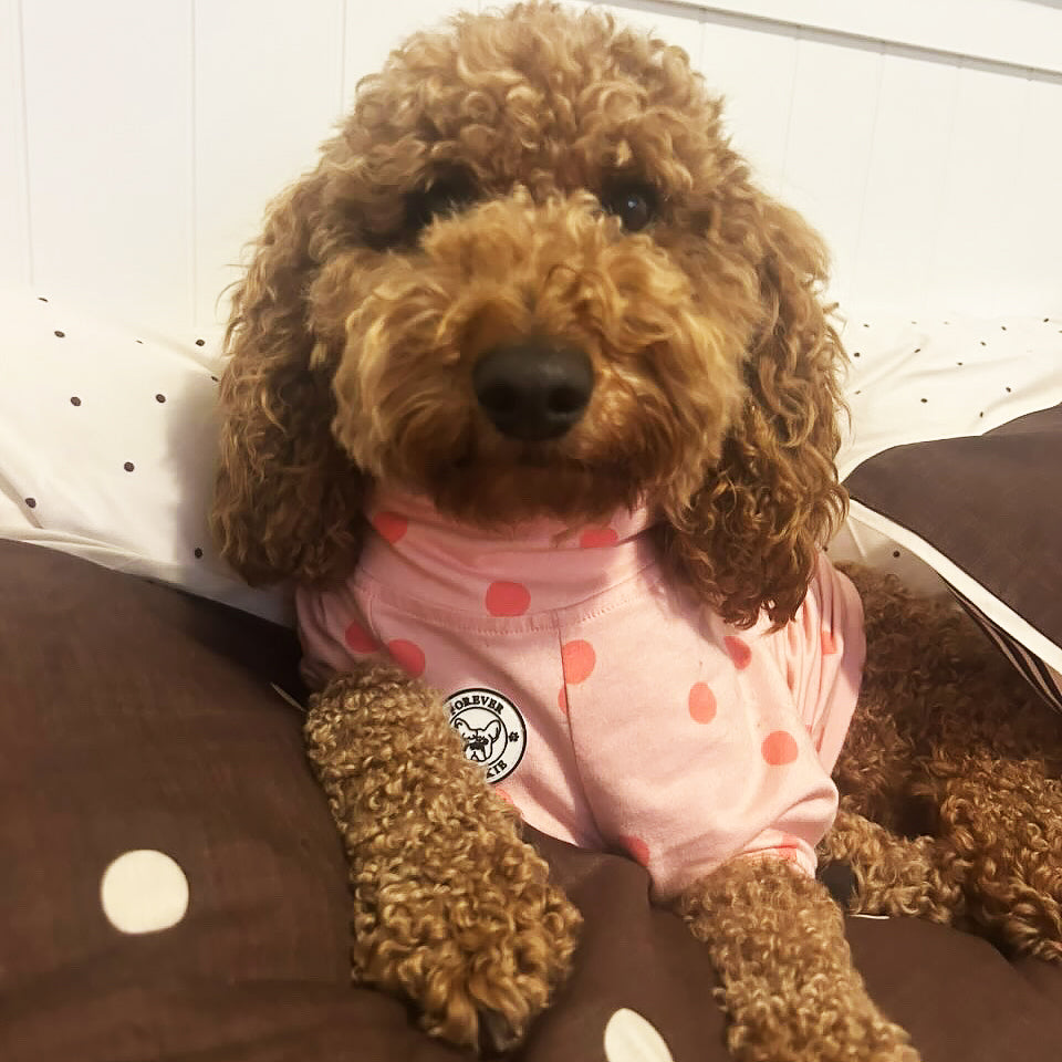 Pink with Pink Spots - Dog Skivvy