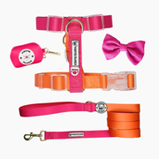 Sunset Strap Walk Bundle