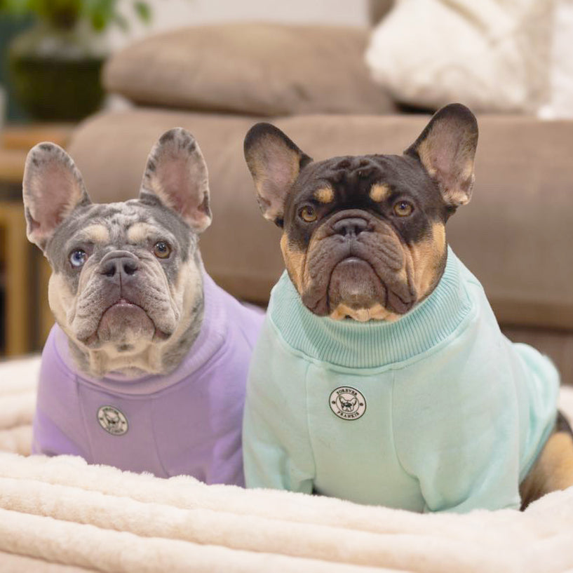 Mint Dog hoodie!!!-not skivvy!