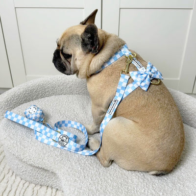 Sky Blue Check - Luxe Dog Lead