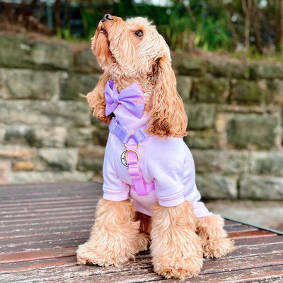 Pastel Pink / Lavender - Luxe Strap Harness