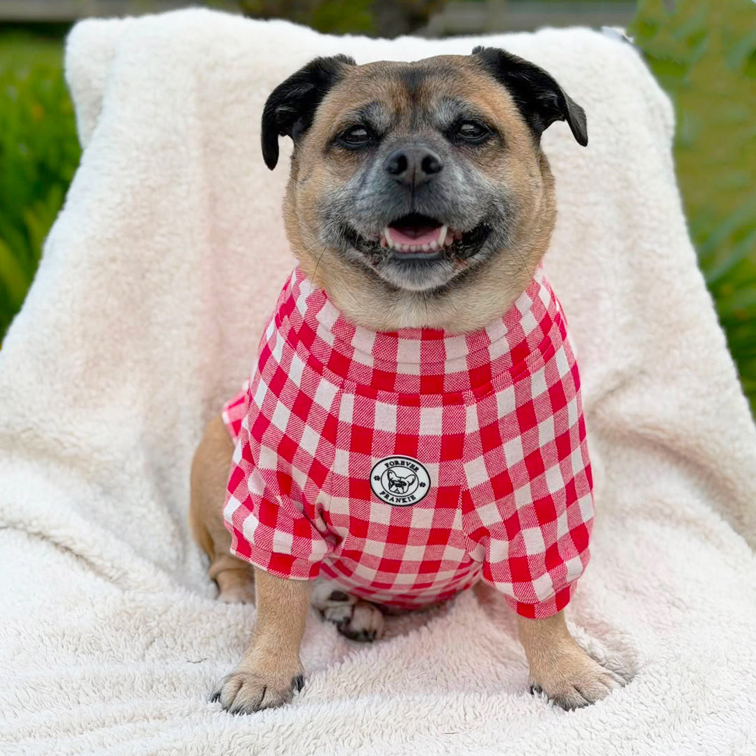 Ruby Check Dog Skivvy (Limited Edition)