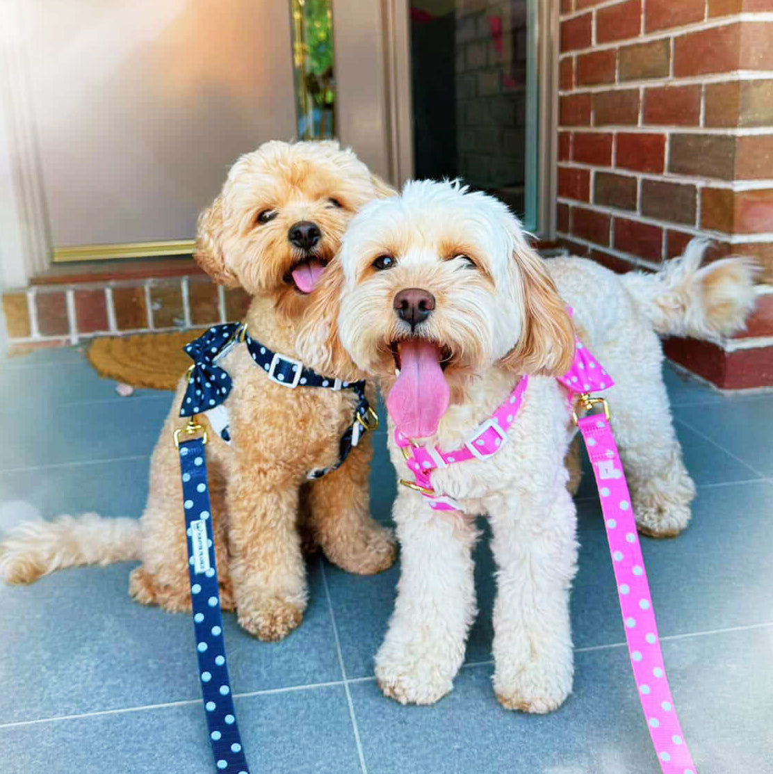Pink Polka Dot - Luxe Strap Harness