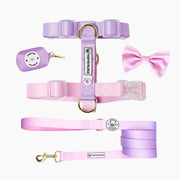 Pastel Pink Lavender Strap Walk Bundle