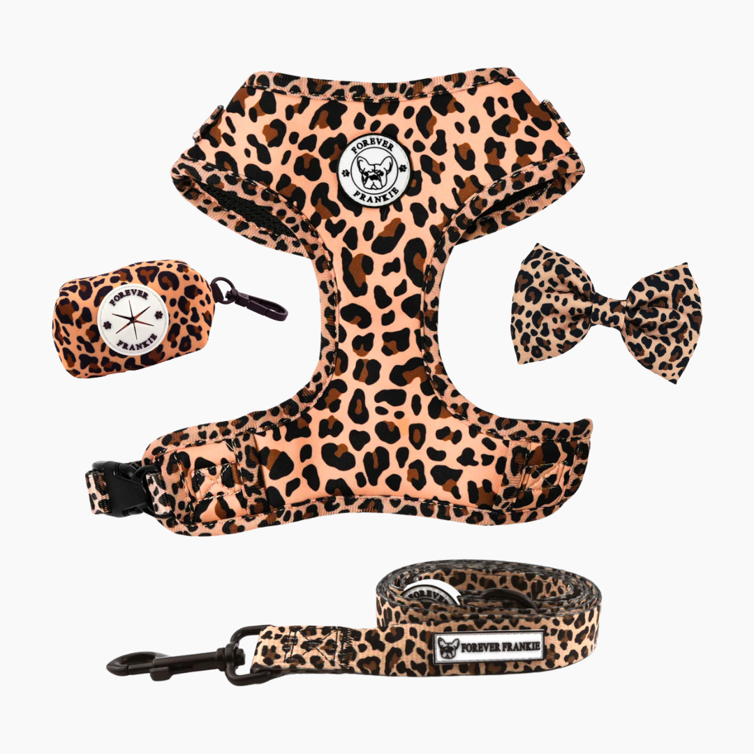 Born To Be Wild Walk Bundle