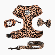 Born To Be Wild Walk Bundle