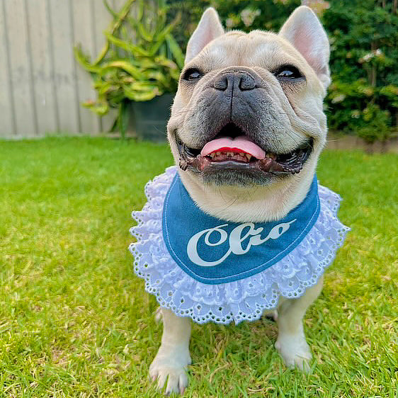 Boho Blues Bandana (with printed name)