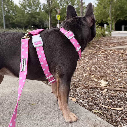 Pink Polka Dot - Luxe Strap Harness