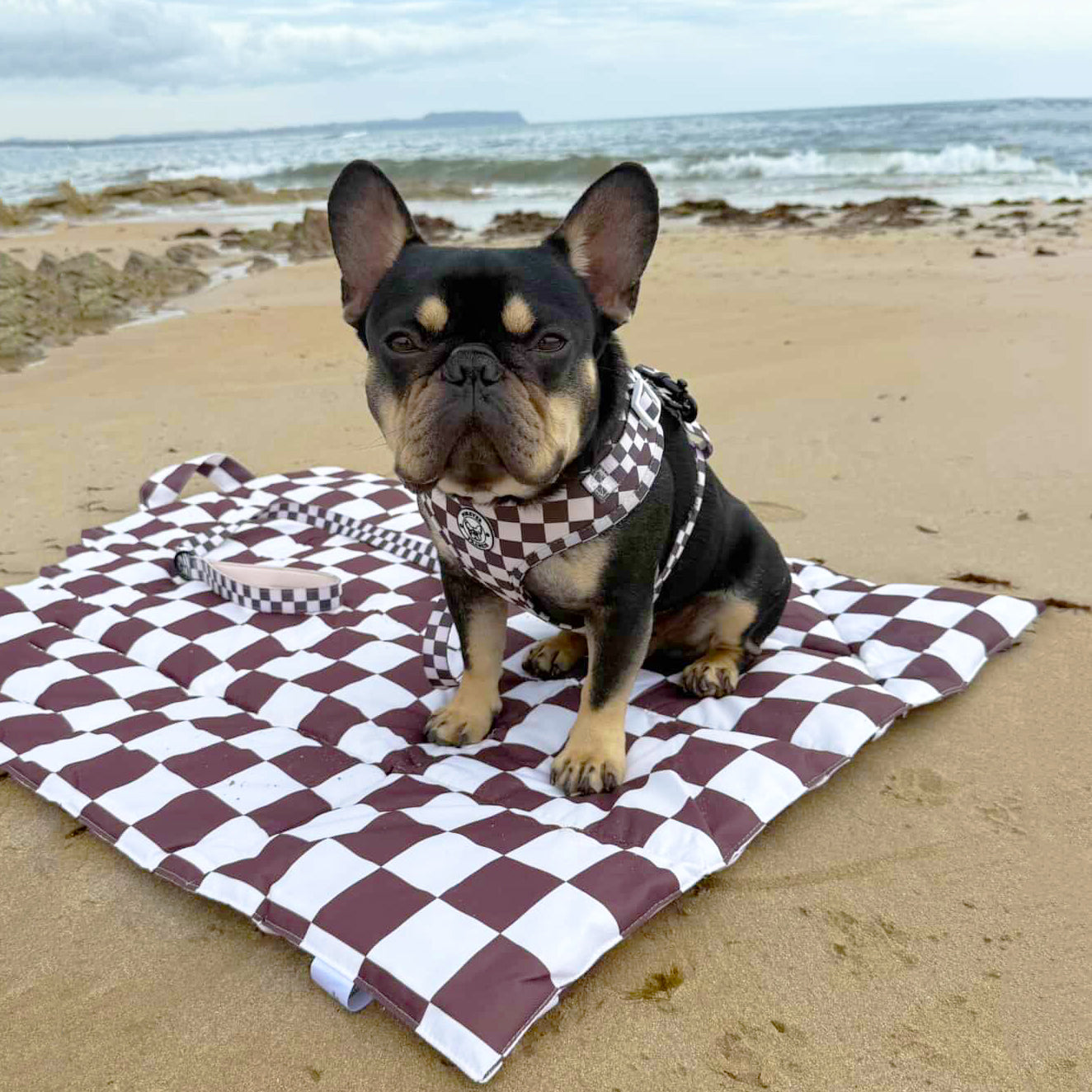 Cocoa Check- Adventure Mat