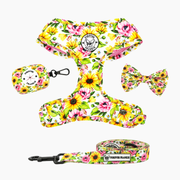 Heavenly Sunflower Walk Bundle