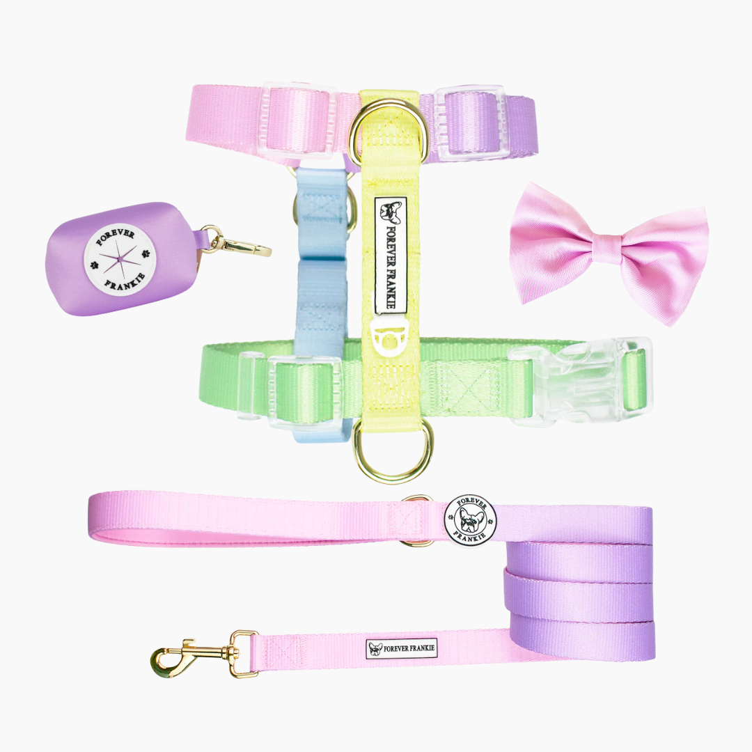 Pastel Rainbow Strap Walk Bundle