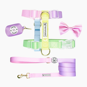Pastel Rainbow Strap Walk Bundle