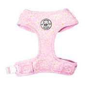 Daisy Chain - Adjustable Harness - End of Line