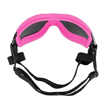 Pink - Adventure Goggles