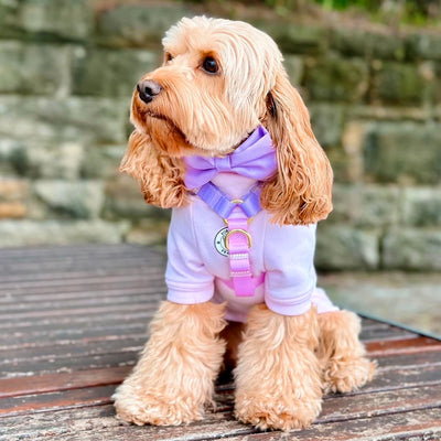 Pastel Pink / Lavender - Luxe Strap Harness