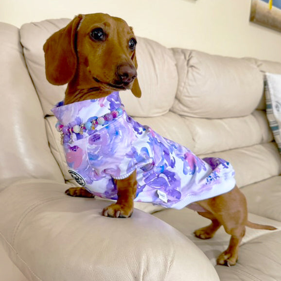 Luxe-Violet Field Dog Skivvy