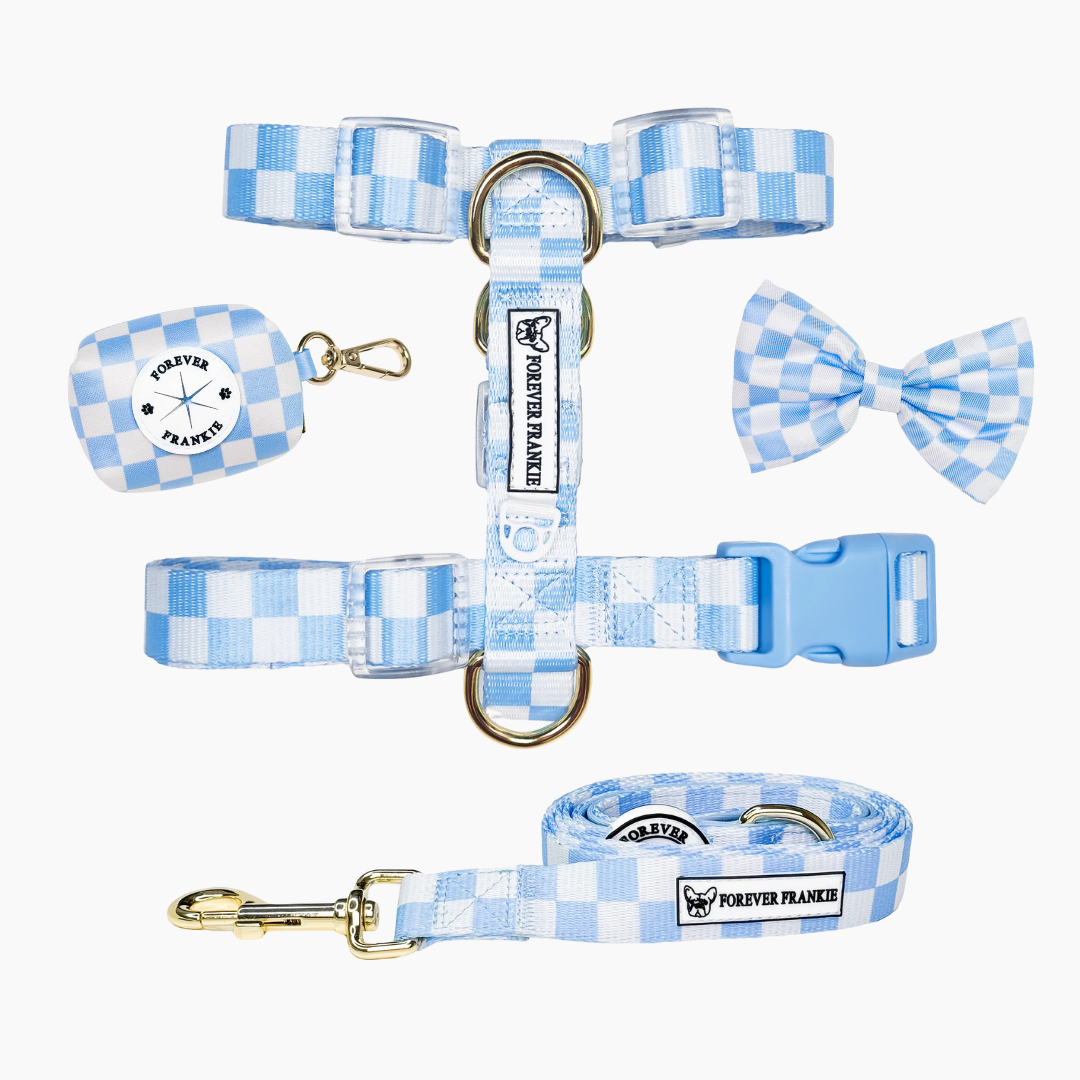 Sky Blue Check Walk Bundle