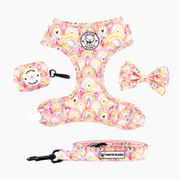 Chasing Rainbows Walk Bundle