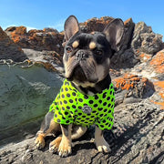 Lime Pawka Dots - Sun & Sand Rashie UV 50+