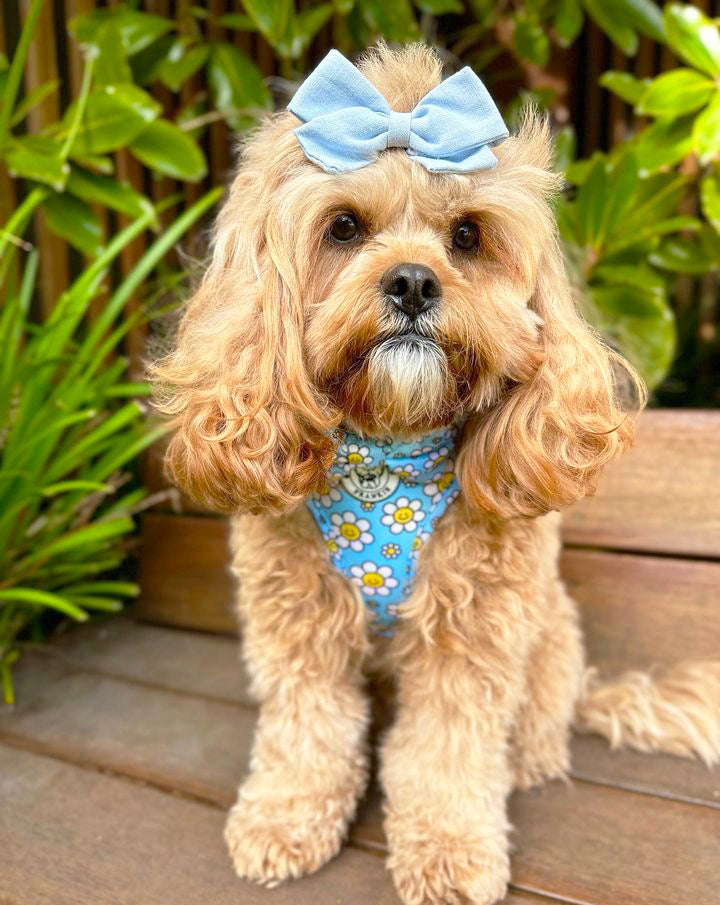 Happy Days - Adjustable Harness