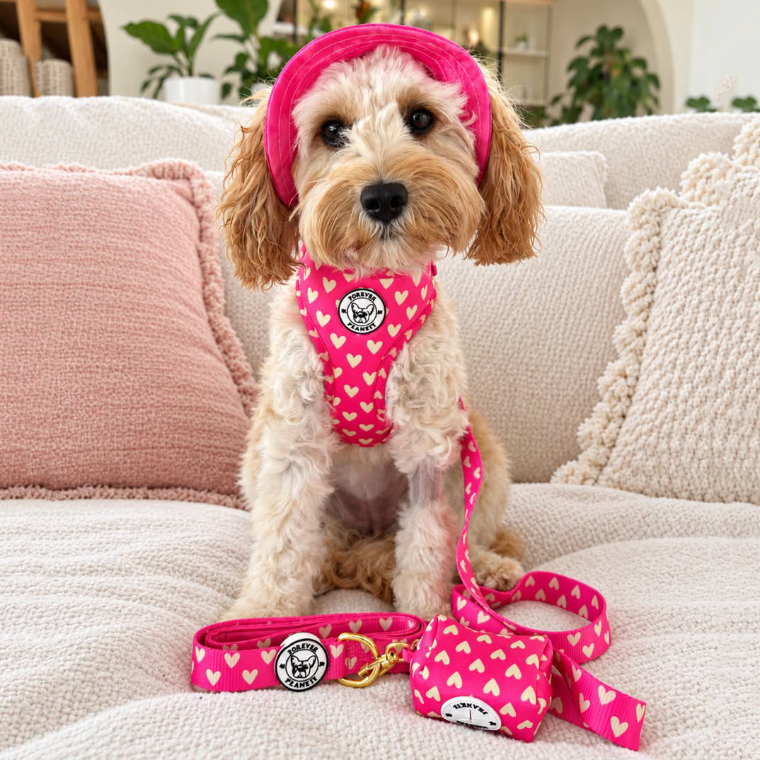 Sugar Rush - Adjustable Harness