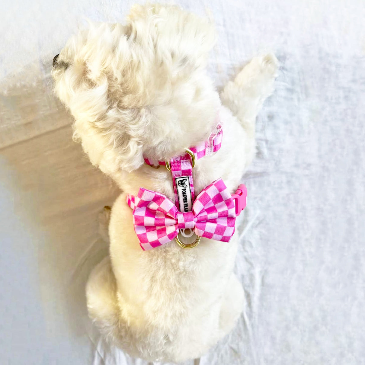 Pink Lemonade Check - Luxe Strap Harness