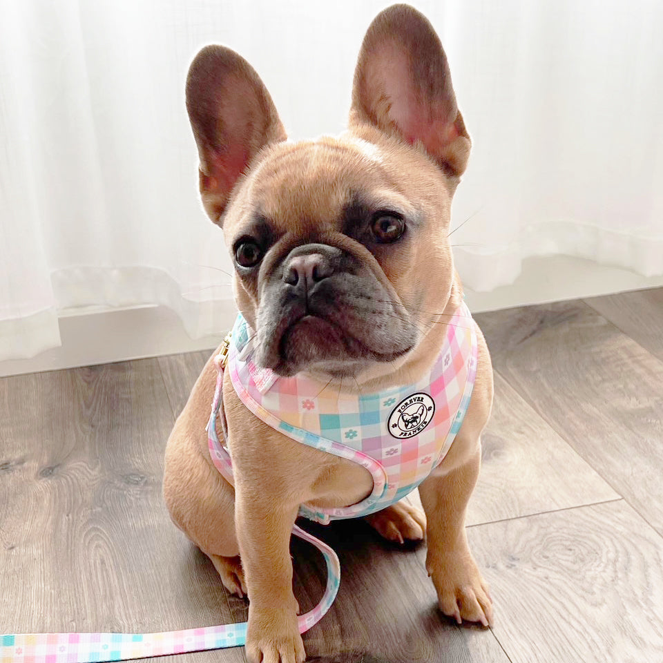 Gingham Wonderland - Adjustable Harness