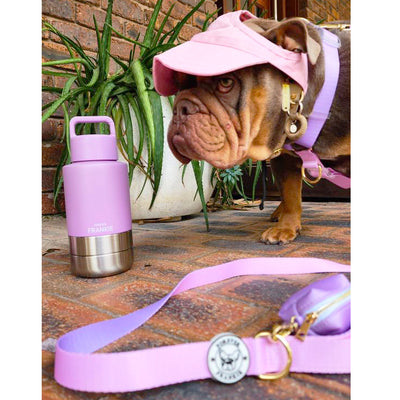 Lavender Portable Human / Dog Stainless Steel Adventure Drink Bottles