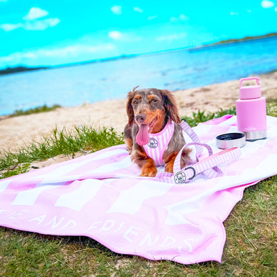 Pink Candy Stripe - Beach & Bath Towel - End Of Line