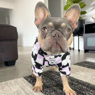 Floral Checkers Dog Skivvie (Limited Edition)
