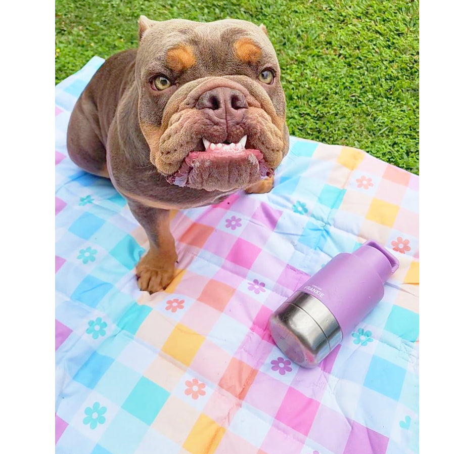 Gingham Wonderland - Adventure Mat