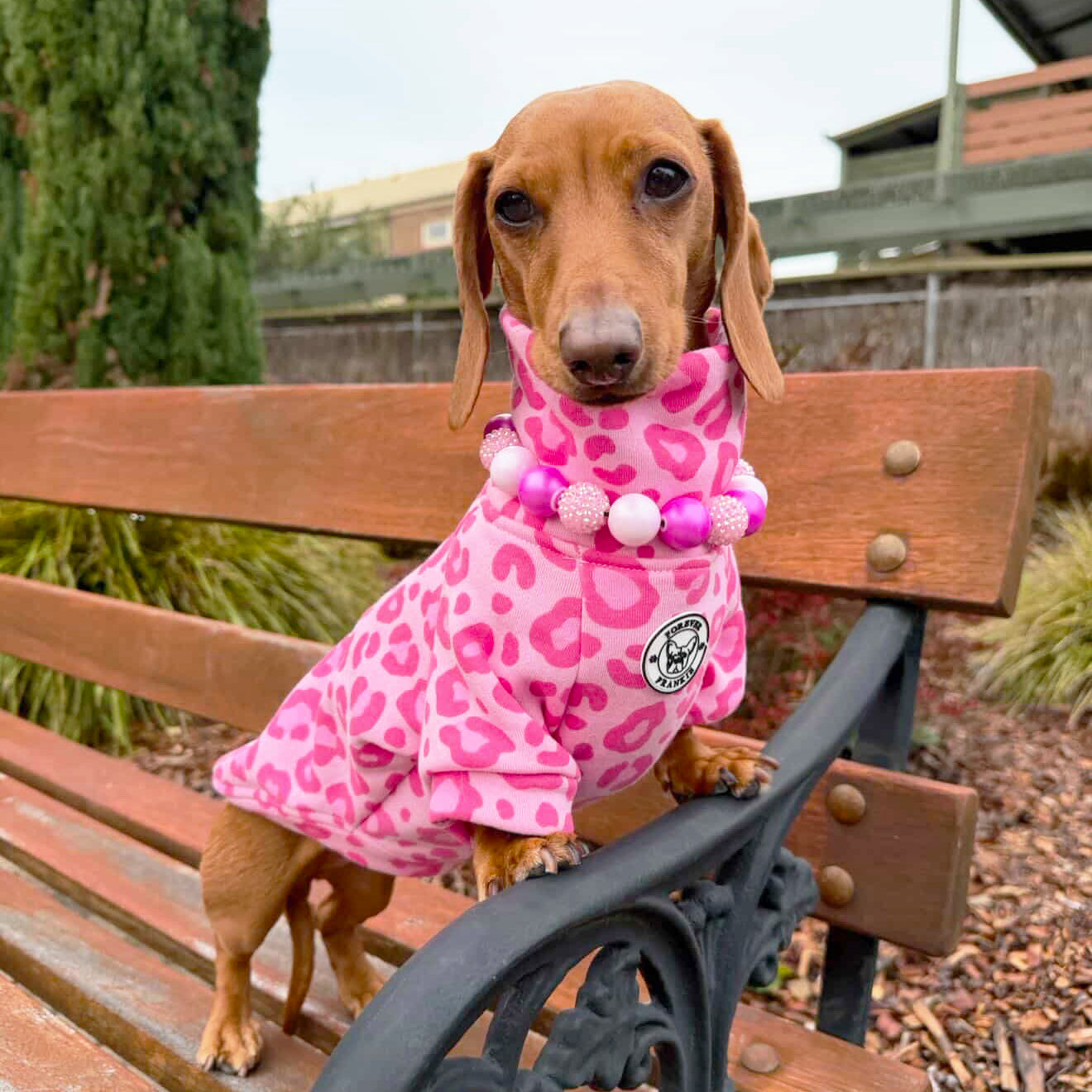 Wild Blush - Dog Skivvy