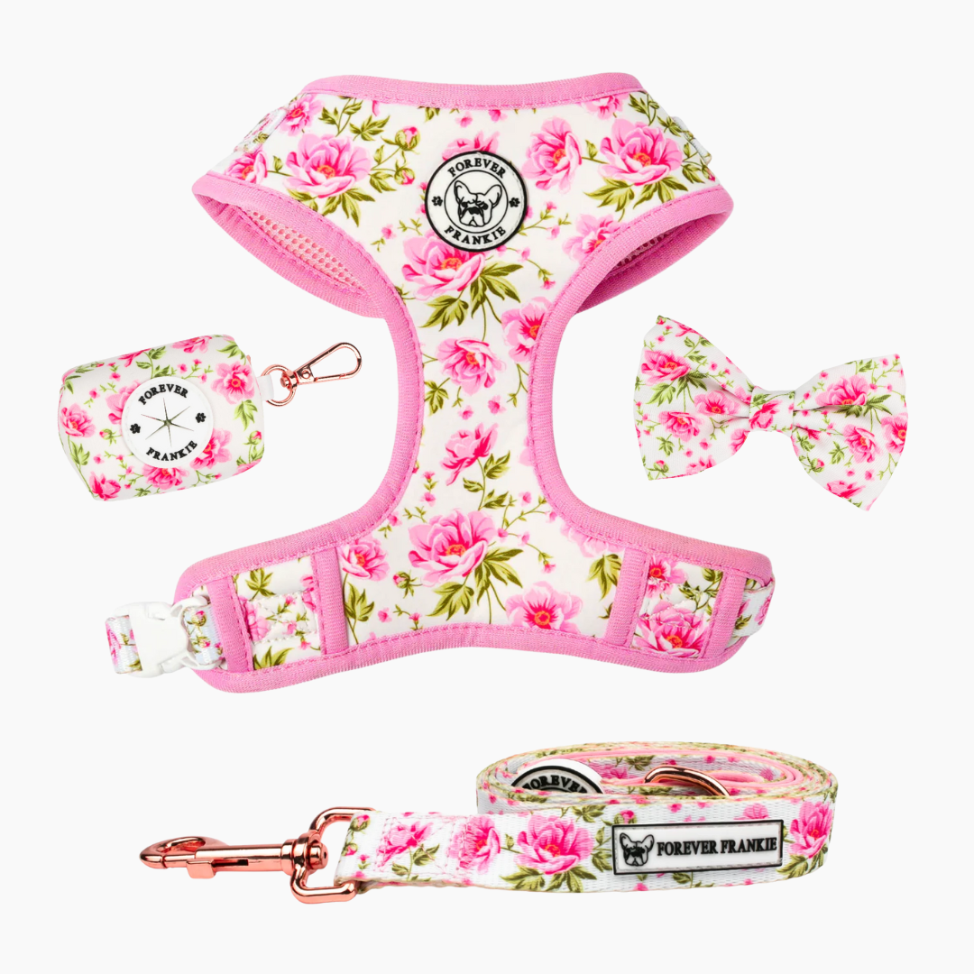 Peony Blooms Walk Bundle