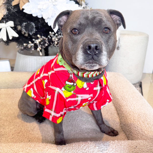 Christmas Grump - (Limited Edition) Party Shirt