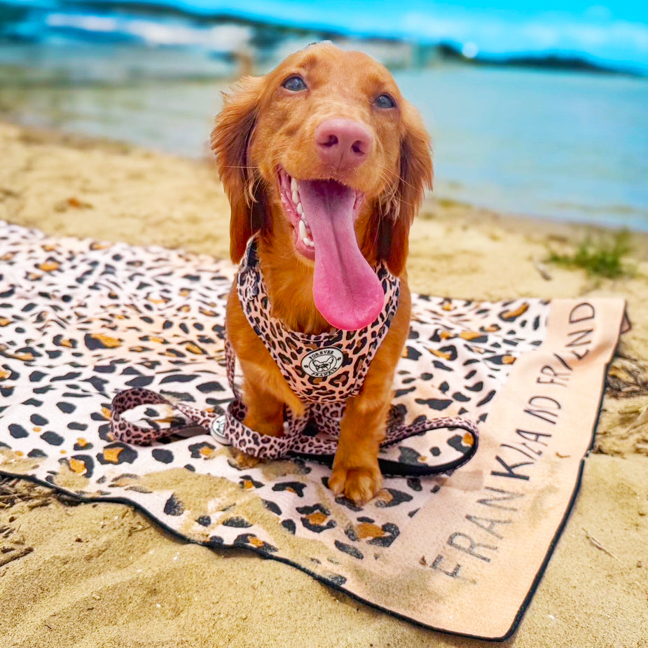 Born To Be Wild - Beach & Bath Towel