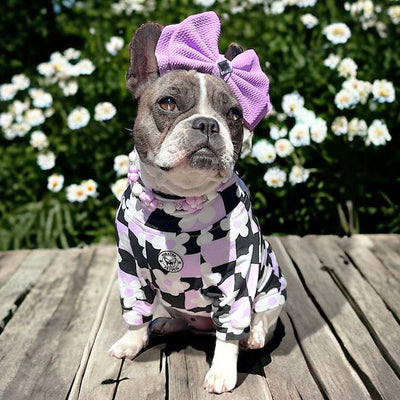 Floral Checkers Dog Skivvie (Limited Edition)